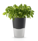 Kräuter-/Pflanzentopf