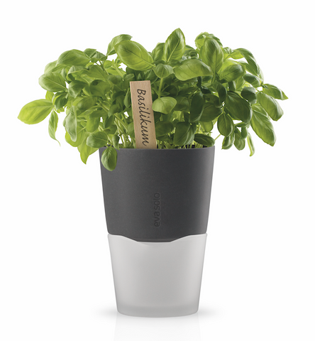 Kräuter-/Pflanzentopf